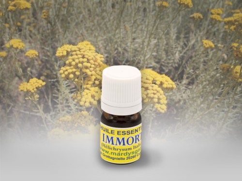 main_immortelle3ml